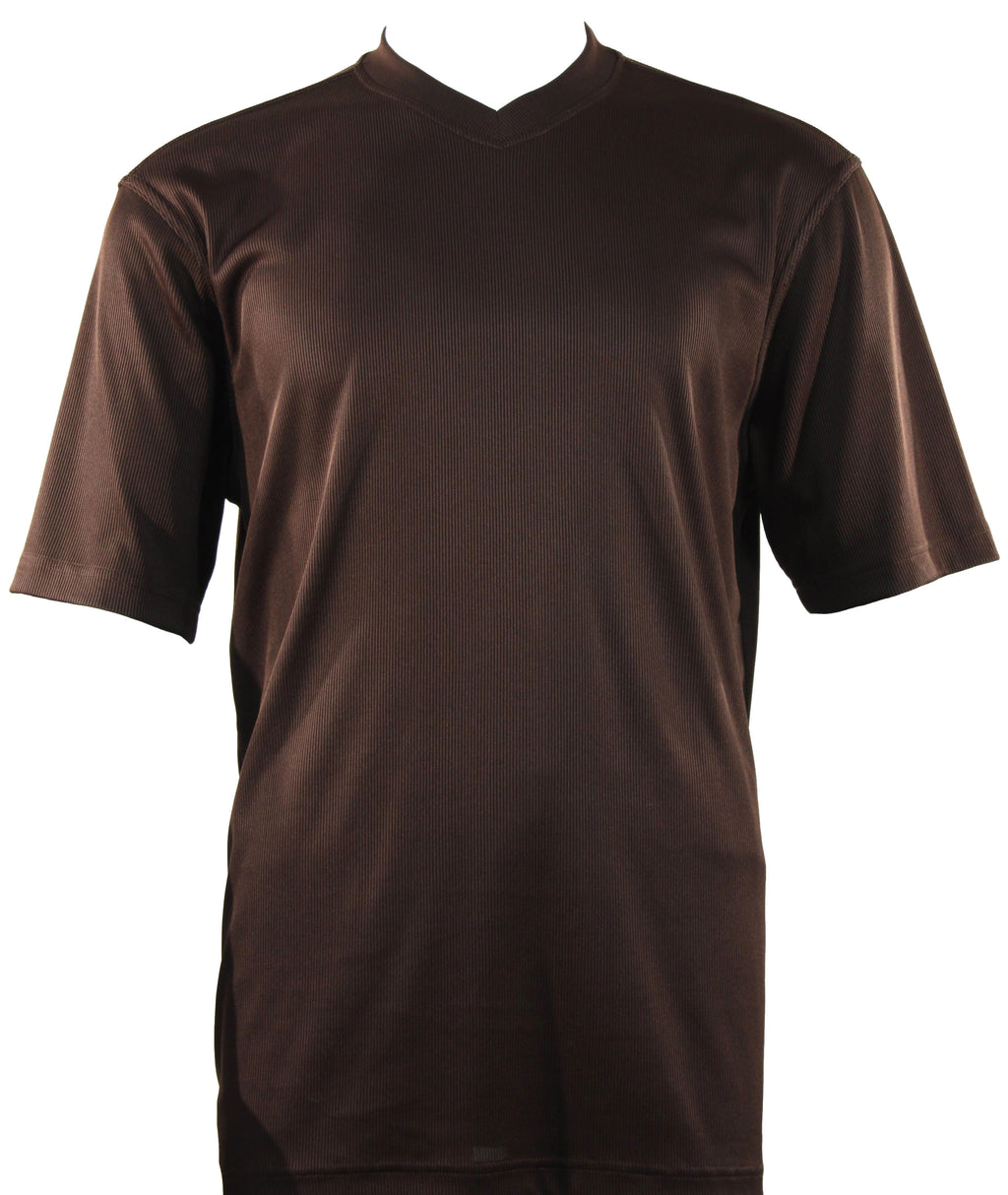 Bassiri S/S V-Neck Brown T-Shirt 219