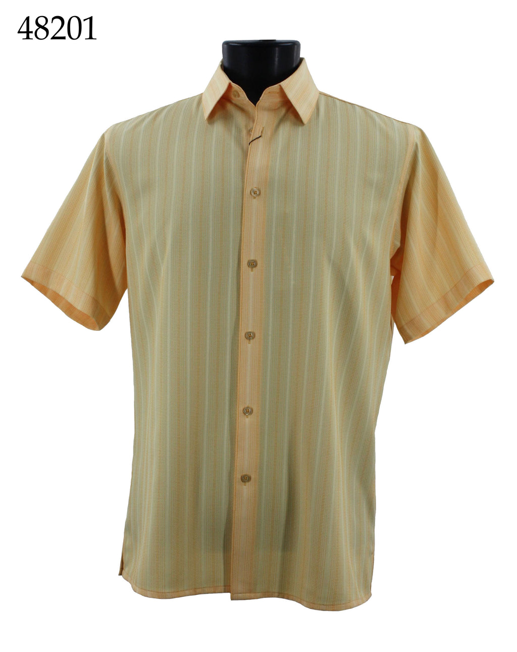 Bassiri Short Sleeve Shirt 48201