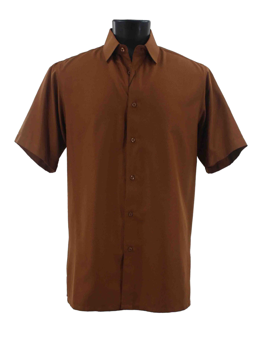 Bassiri Short Sleeve Shirt B2026 Cognac