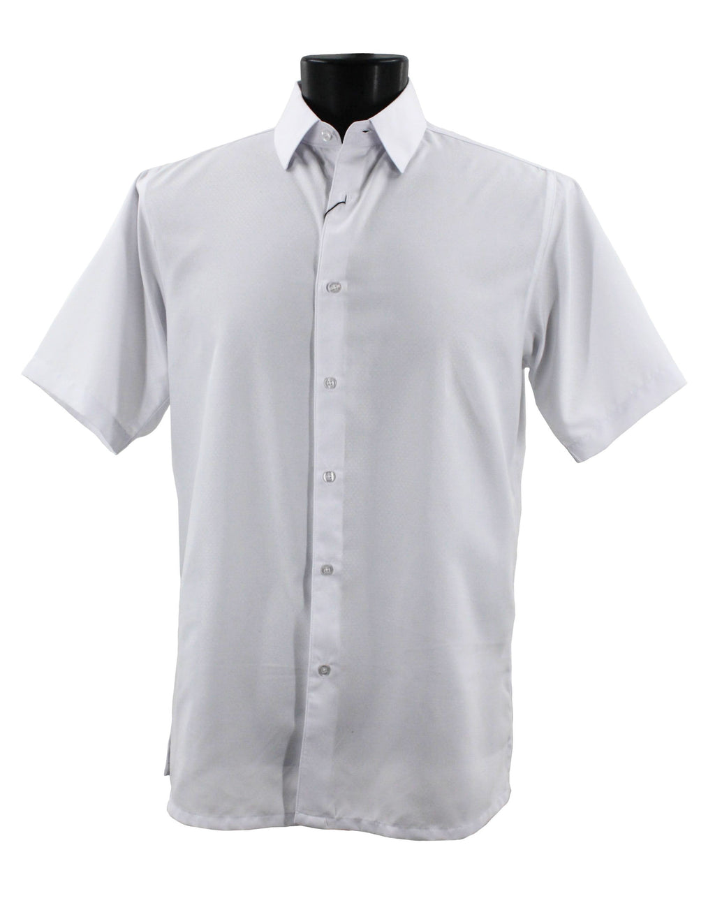 Bassiri Short Sleeve Shirt B2026 White