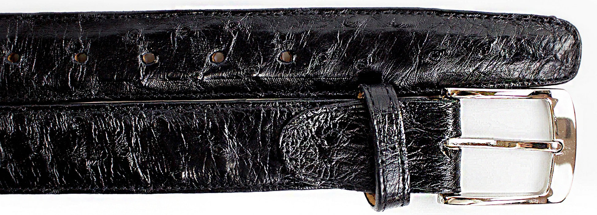 Close-up of a black Belvedere Ostrich Quill Belt with a silver buckle, similar to the Belvedere Style 2001. The belt features multiple holes for easy adjustment, ensuring a perfect adjustable fit.