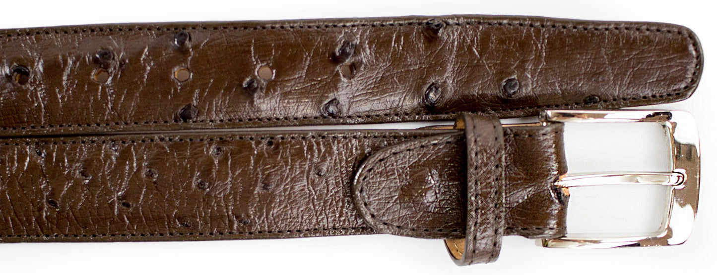 Close-up of a black Belvedere Ostrich Quill Belt with a silver buckle, similar to the Belvedere Style 2001. The belt features multiple holes for easy adjustment, ensuring a perfect adjustable fit.