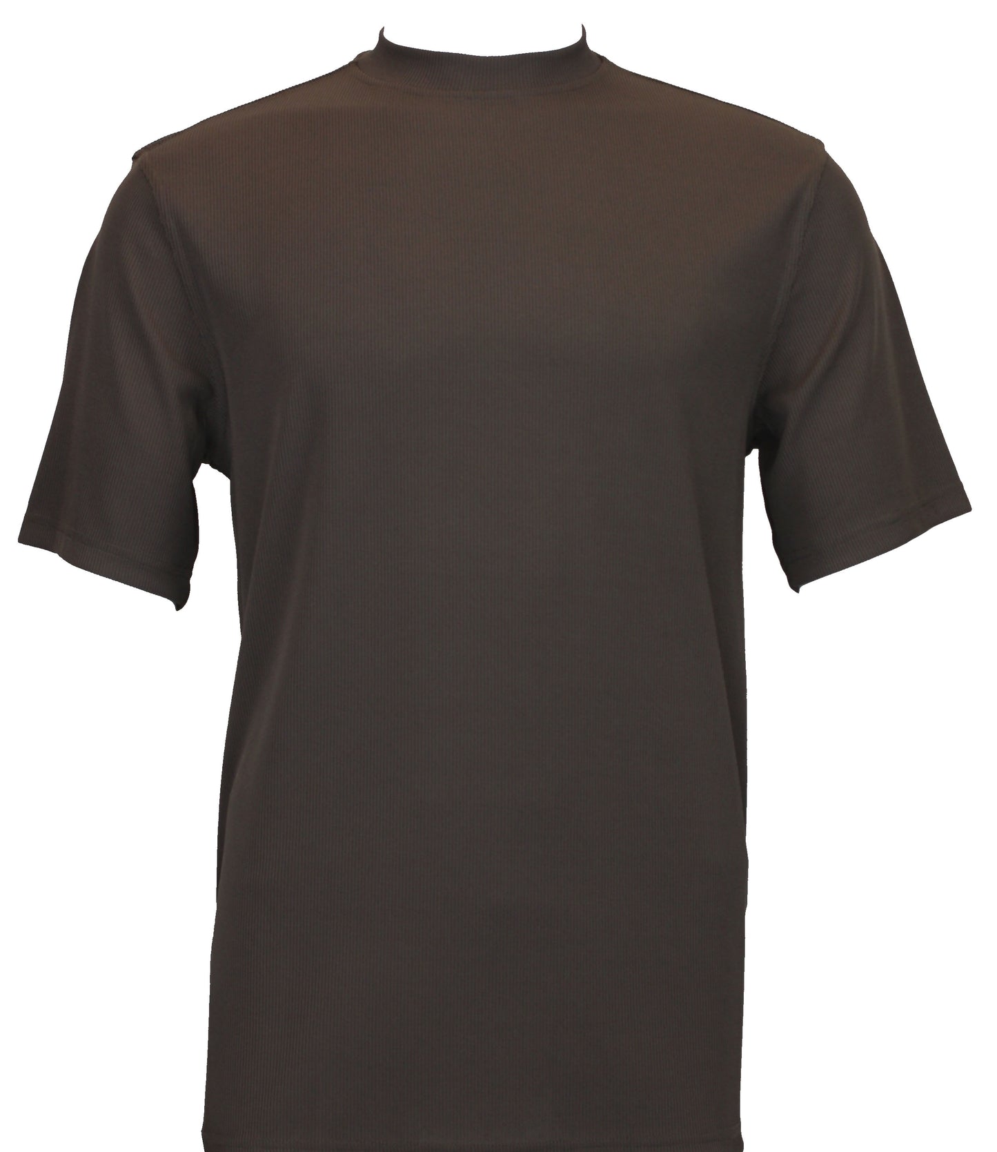 The Bassiri S/S Mock-Neck Brown T-Shirt 218 from Bassiri boasts a simple dark brown design with short sleeves, contrasted against a clean white background.