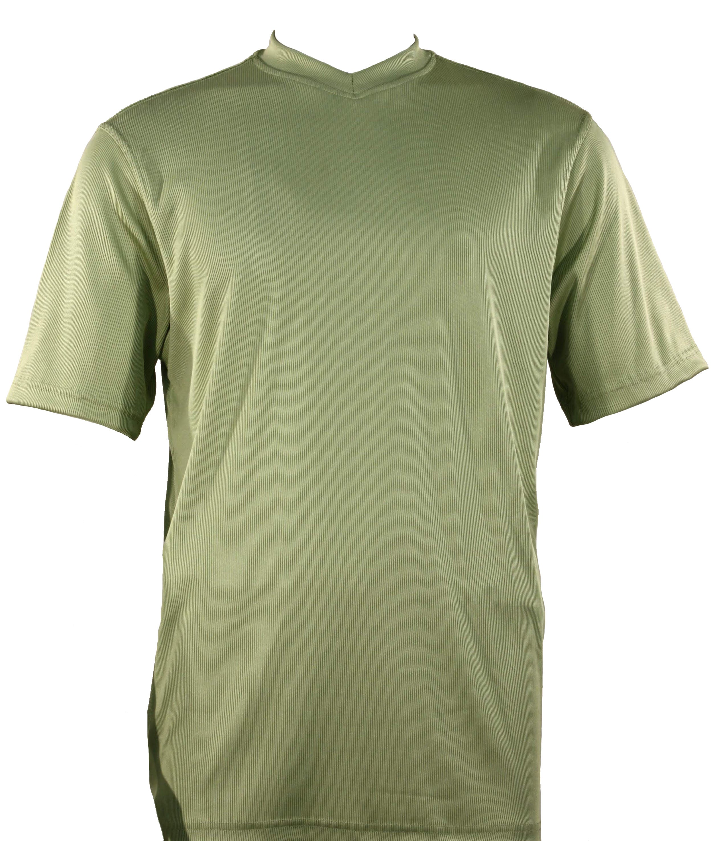 Bassiri S/S V-Neck Mint T-Shirt 219 - Unique Design Menswear