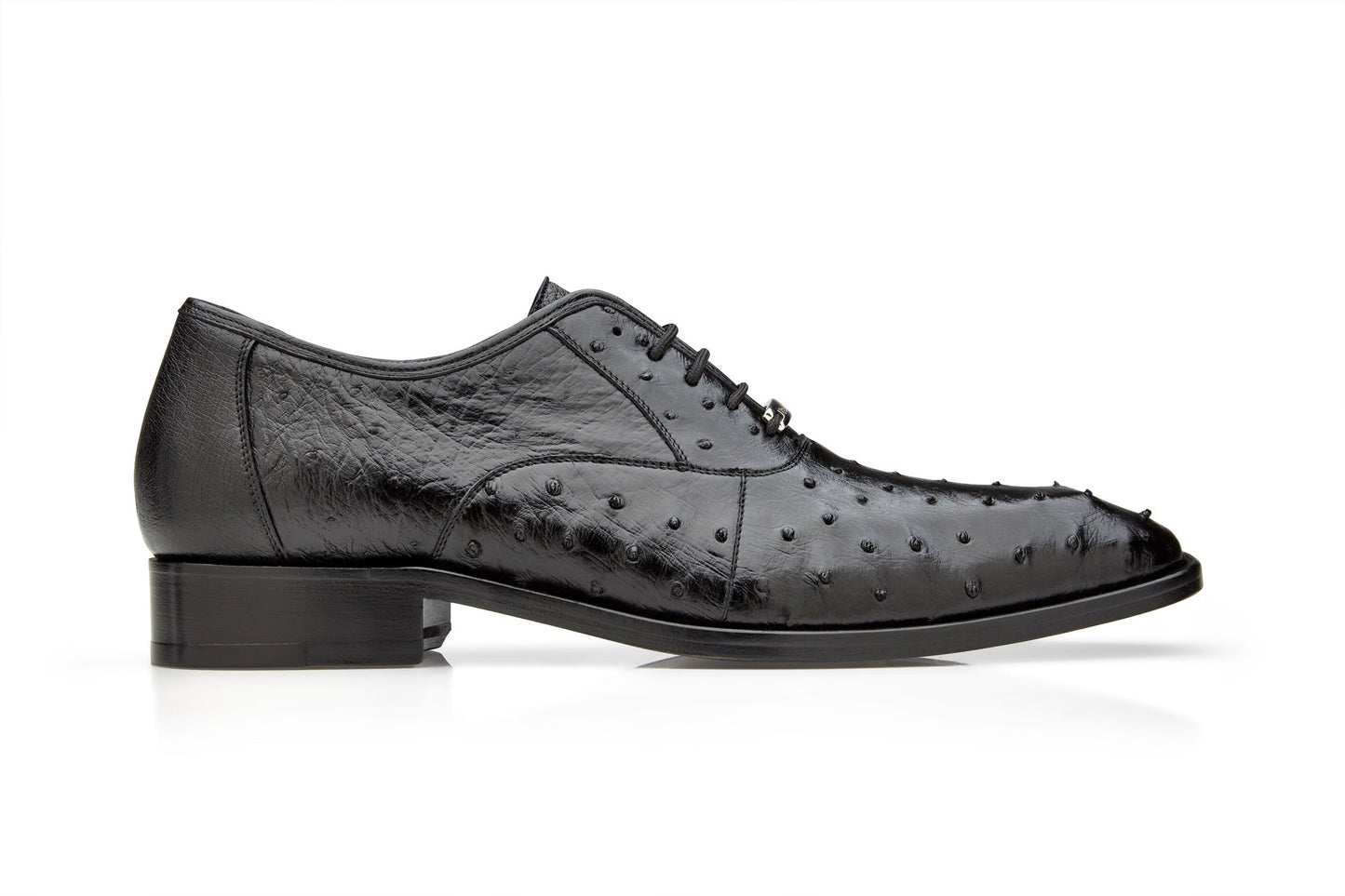 Introducing the Belvedere - Orlando, a Genuine Ostrich Quill Dress Shoe in black. This sleek dress shoe by BELVEDERE features a pointed toe and a luxurious blue interior, complemented by a lace-up design. Distinctive ostrich quill texture and a plush cushion insole enhance comfort and style.