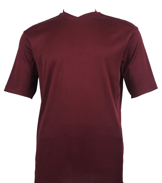 A Bassiri S/S V-Neck Plum T-Shirt 219, known for its soft microfiber blended with spandex to enhance comfort, is elegantly showcased against a white background.