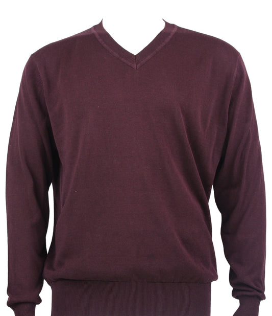 Displayed on a mannequin is the Bassiri L/S V-Neck Plum Sweater 627, designed by Bassiri. It features long sleeves and a modern fit, made from cotton in a maroon shade.