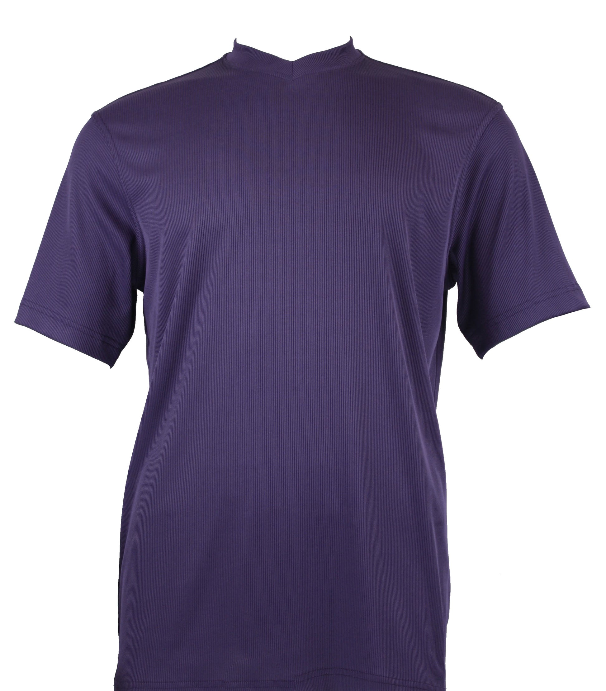 The Bassiri S/S V-Neck Purple T-Shirt 219 is showcased elegantly against a white background, crafted from soft microfiber and featuring short sleeves in a deep purple hue.