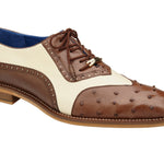 Belvedere - Sesto, Genuine Ostrich Quill and Italian Leather Wing Tip Dress Shoe - Brown/Cream - R54